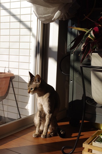 140207-01.jpg