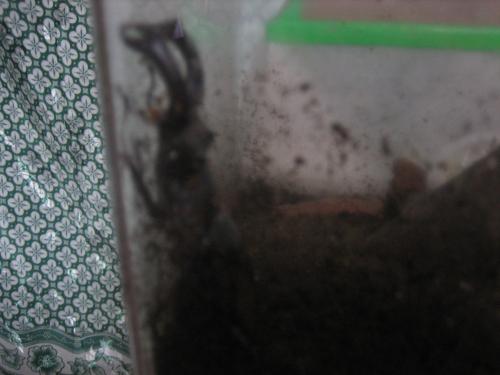 IMG_3345_convert_20120509005718.jpg
