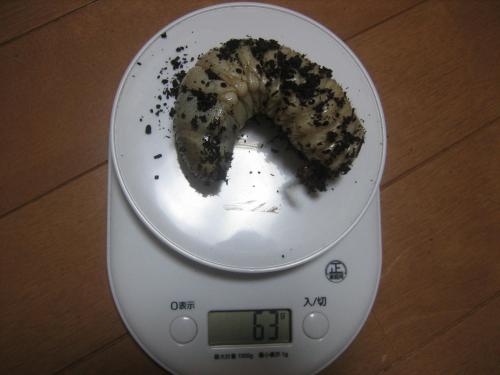 IMG_3387_convert_20120601224915.jpg