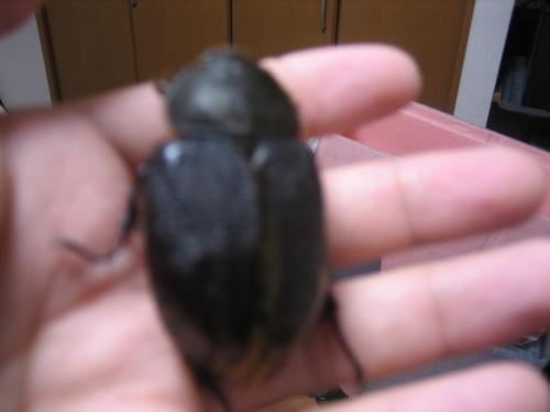 IMG_3595_convert_20121029004858.jpg