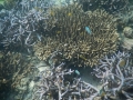 DSCN1044s.jpg