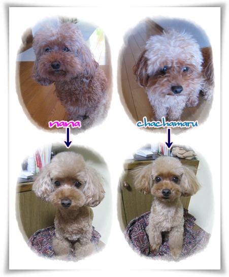 before after