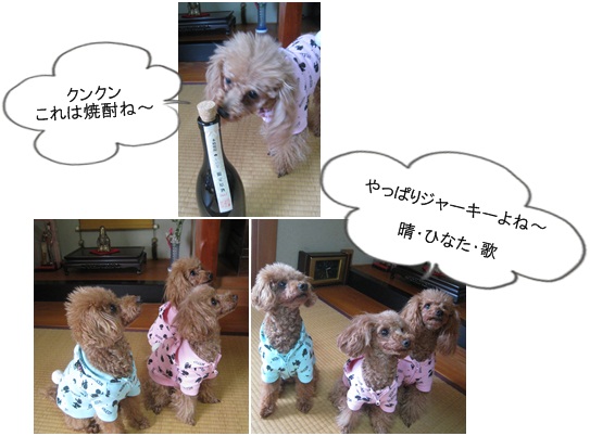 晴ひなた歌