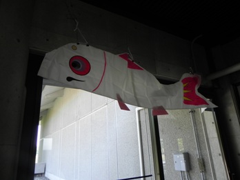DSCN6545.jpg