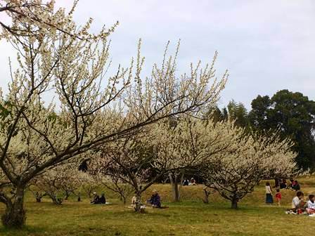 備中国分寺