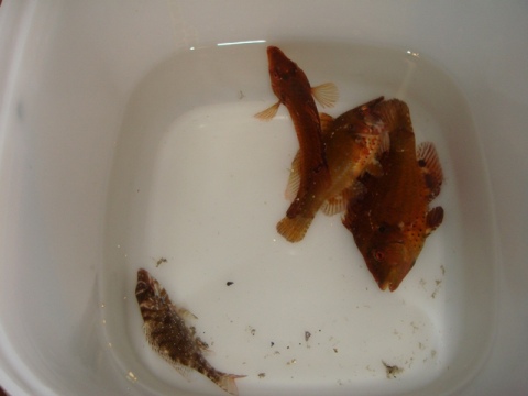 DSC01274.jpg