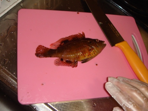 DSC01275.jpg