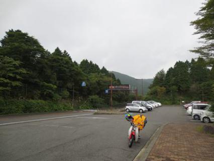 IMG_0252_R.jpg