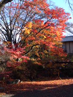 mini_121116_0834.jpg
