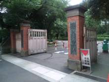 ぱどっく☆日記