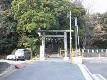 ぱどっく☆日記
