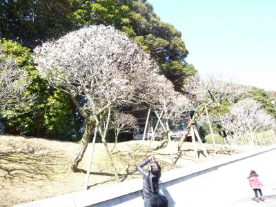 2013.2.23-14