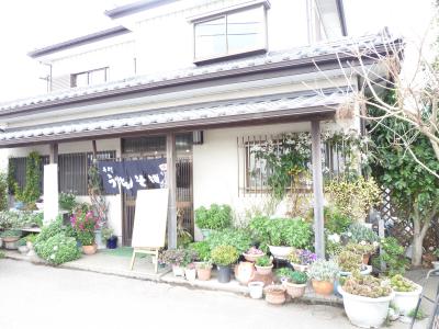 2013.3.20-4