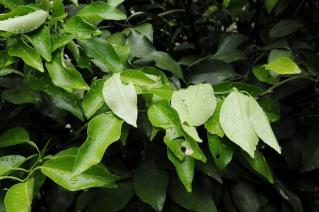 DSC_3349.jpg