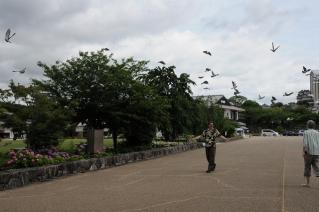 DSC_3512.jpg