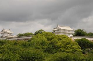DSC_3518.jpg