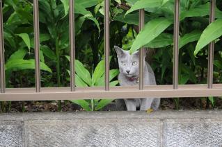DSC_3791.jpg