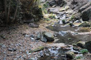DSC_5014.jpg