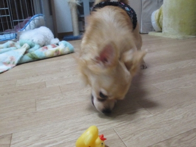 IMG_2880_e.jpg