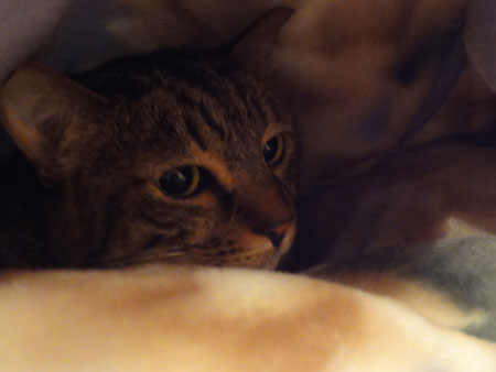 20g_20121028150751.jpg