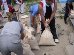 IMGP0075_convert_20120906172659.jpg