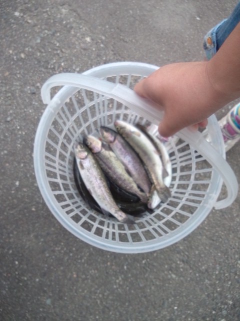釣り3