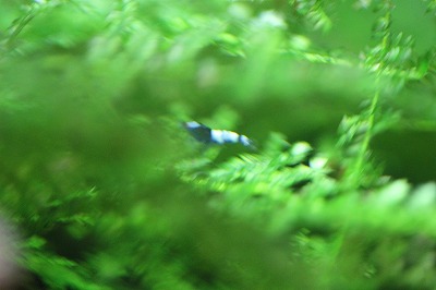 IMG_0134.jpg
