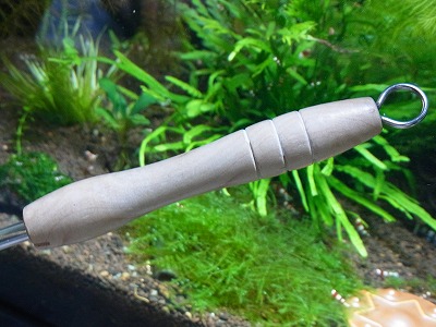 RIMG0297.jpg