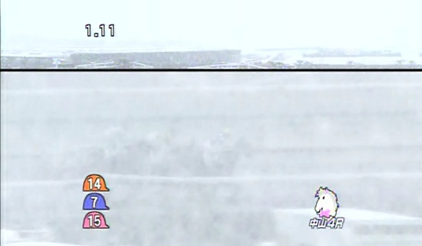 1月14日中山競馬場4R 大雪その1