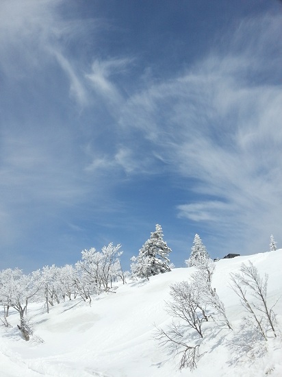 20130324_110121.jpg