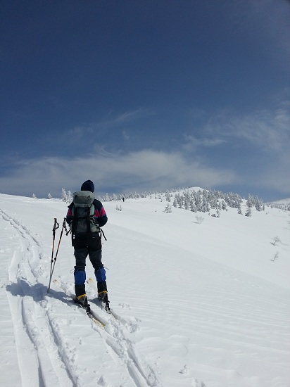 20130324_111027.jpg