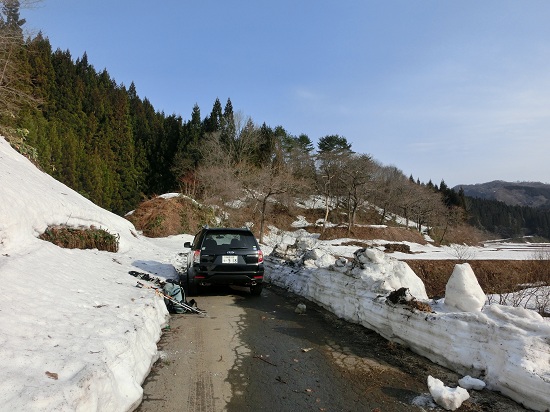 CIMG2352_20130406202319.jpg
