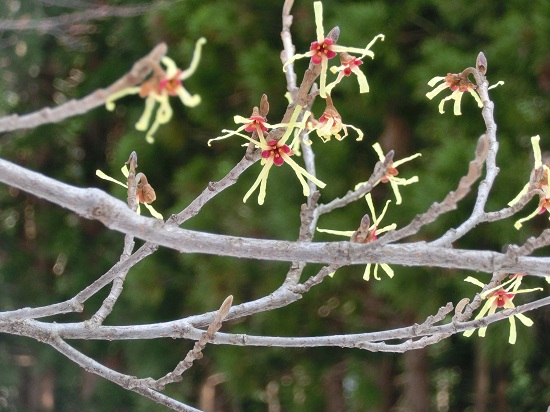 CIMG2361_20130406202323.jpg