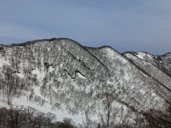 CIMG2392_20130406202451.jpg