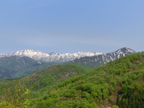 CIMG2849.jpg