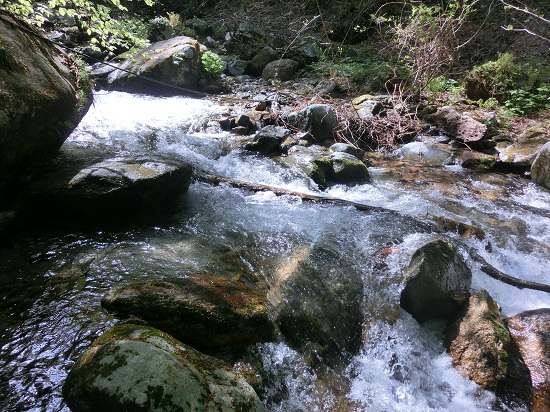 CIMG2997_20130528171644.jpg
