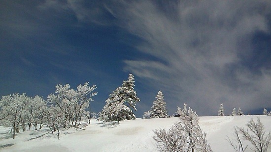 NEC_0170.jpg