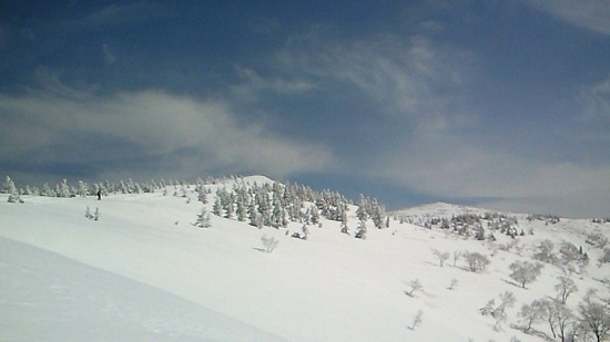 NEC_0175.jpg
