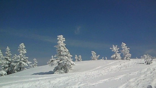 NEC_0176.jpg