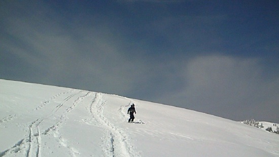 NEC_0188.jpg