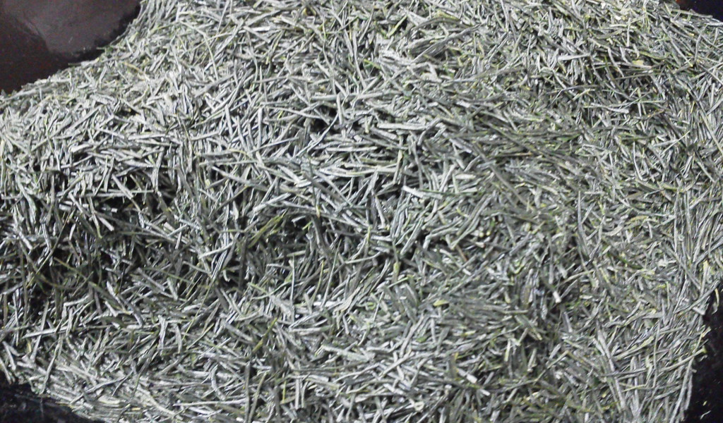 F1000917.jpg