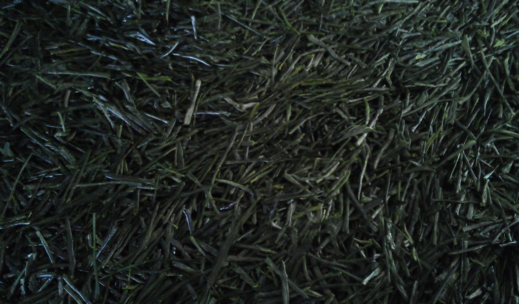 F1000945.jpg