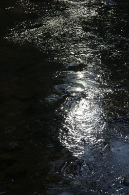 0116-9.jpg