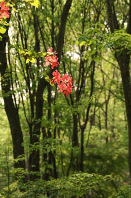 0511-1.jpg