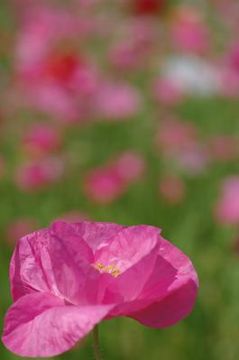 0608-4.jpg