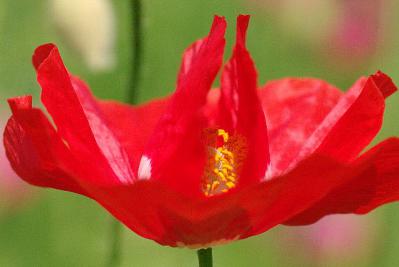 0608-5.jpg