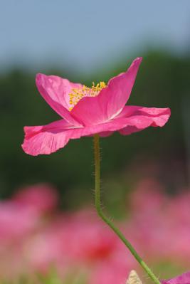 0608-7.jpg