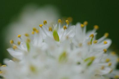 0613-8.jpg