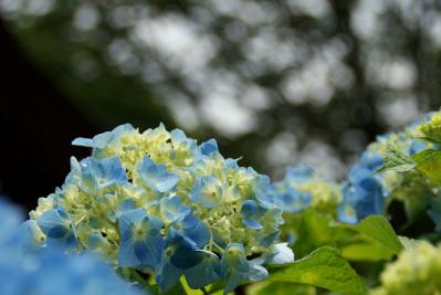 0618-8.jpg