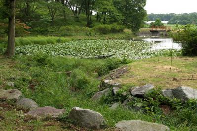 0706-1.jpg